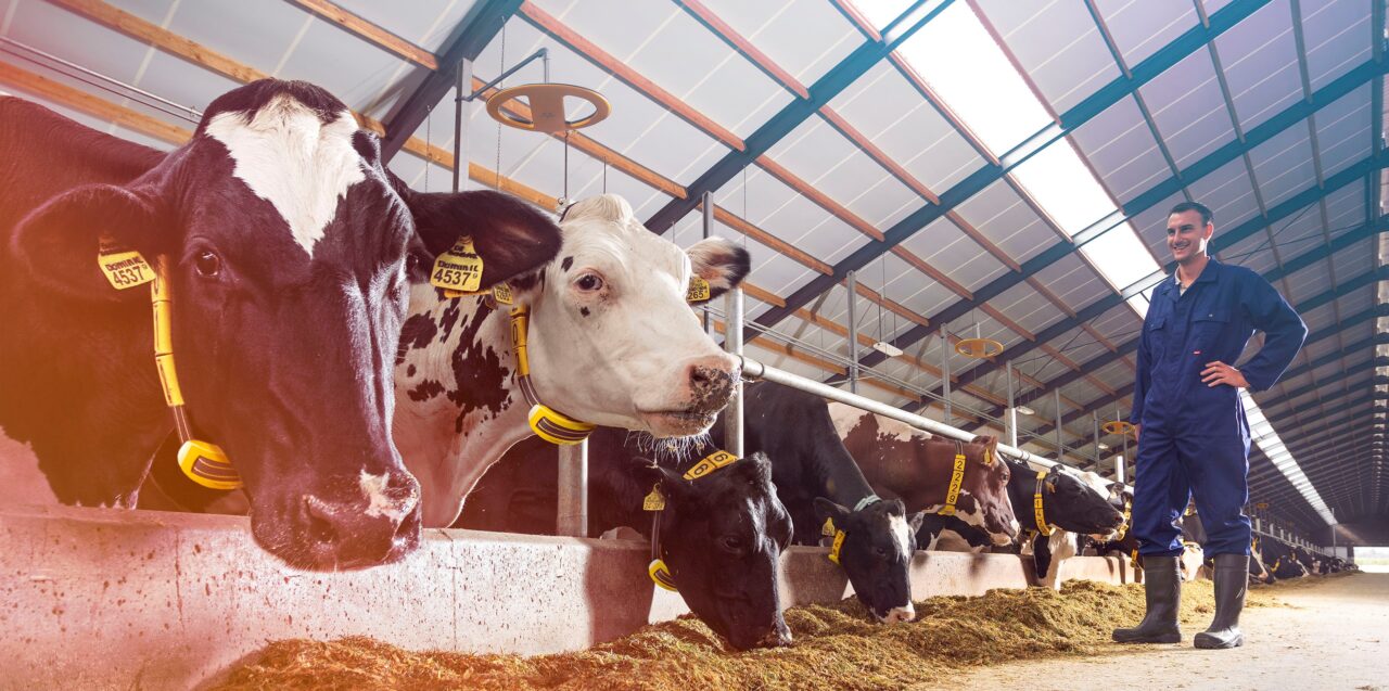 Semex ai24® with Nedap technology now available in more markets - Dairy  Farming